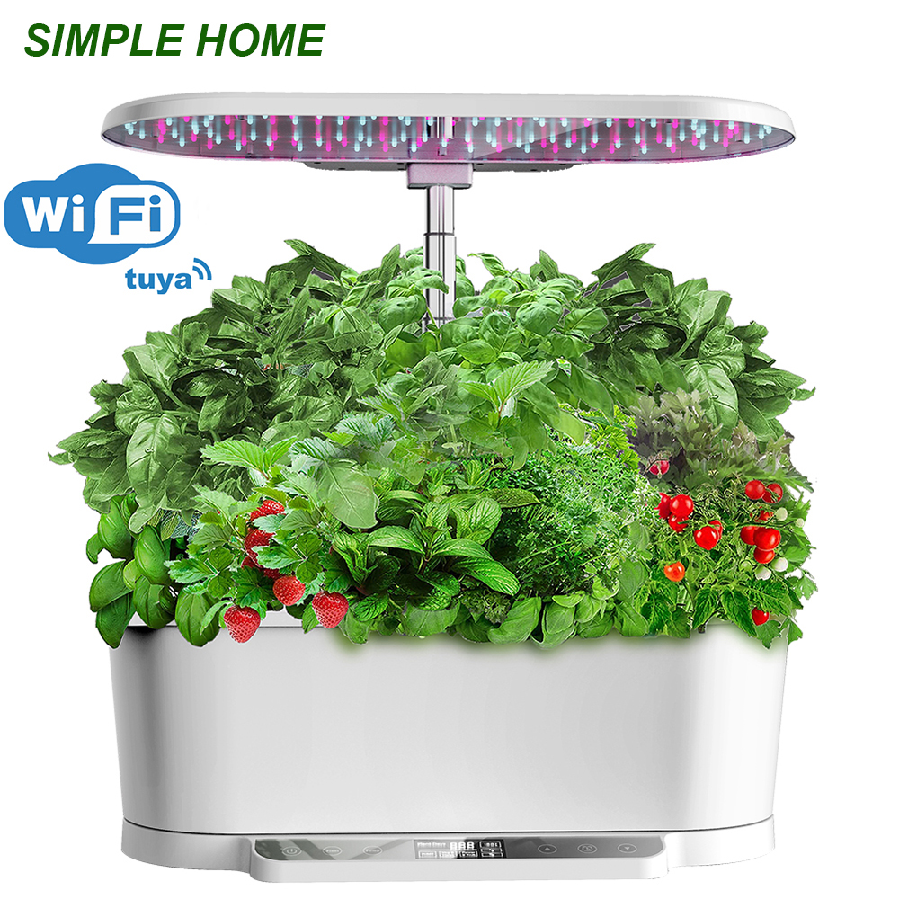 Home Garden, Hydroponic Growin - Indoor Herb Garden Kit のレビューと価格