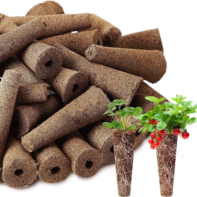 100Pcs Seed Grow Sponges Repla - Indoor Herb Garden Kit のレビューと価格
