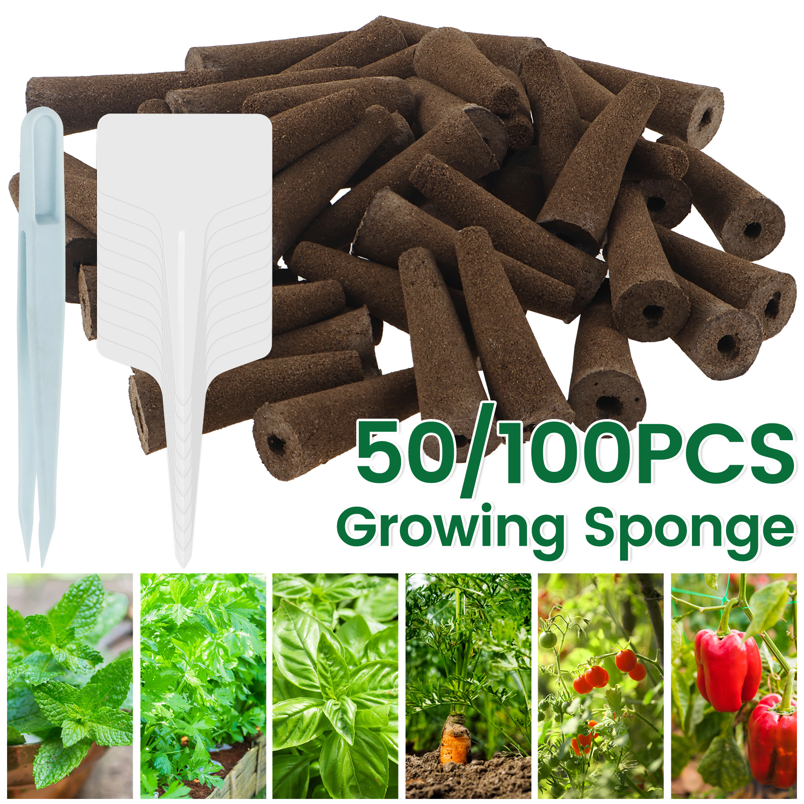 100Pcs Seed Grow Sponges Repla - Indoor Herb Garden Kit のレビューと価格