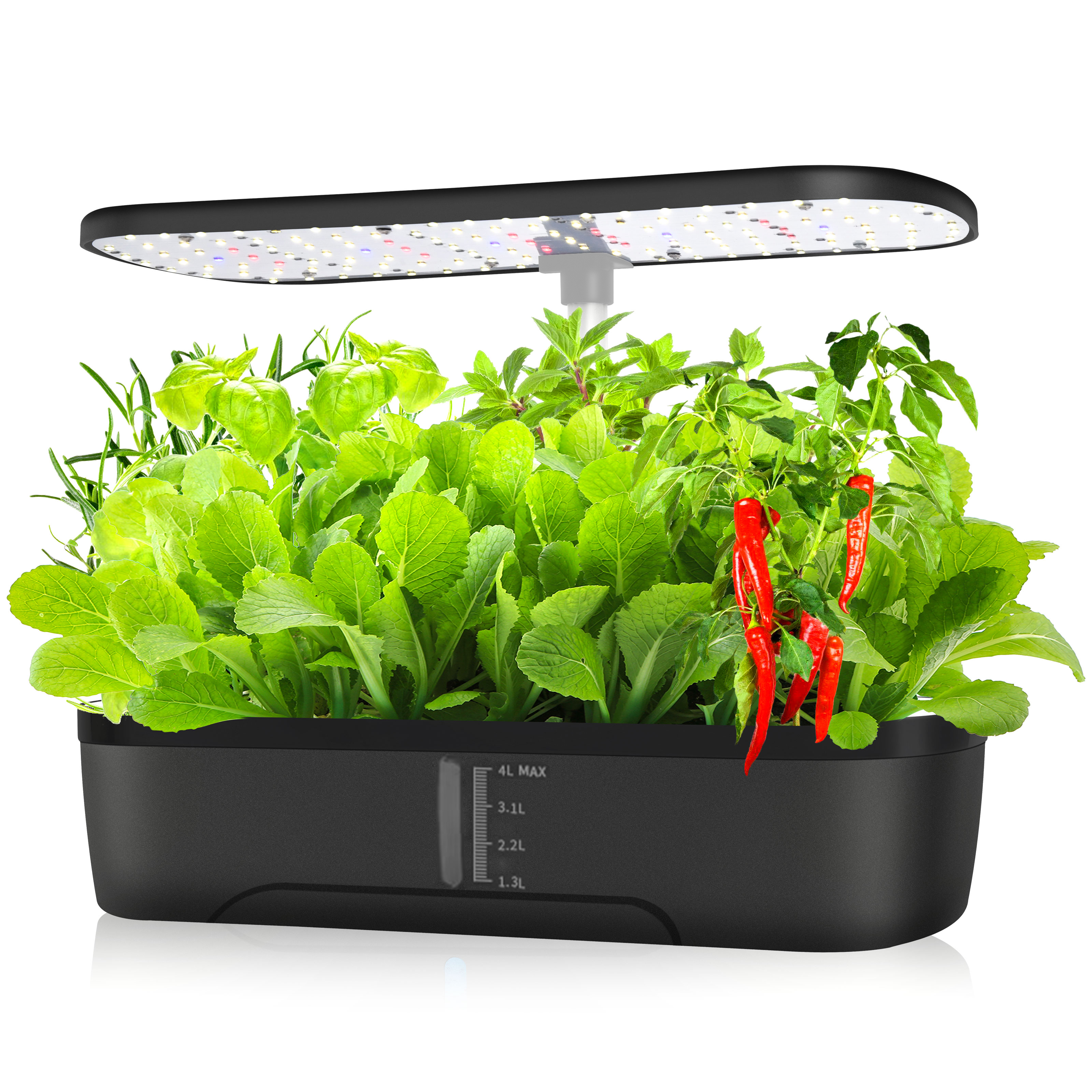 12 Pods Hydroponics Growing Sy - Indoor Herb Garden Kit のレビューと価格