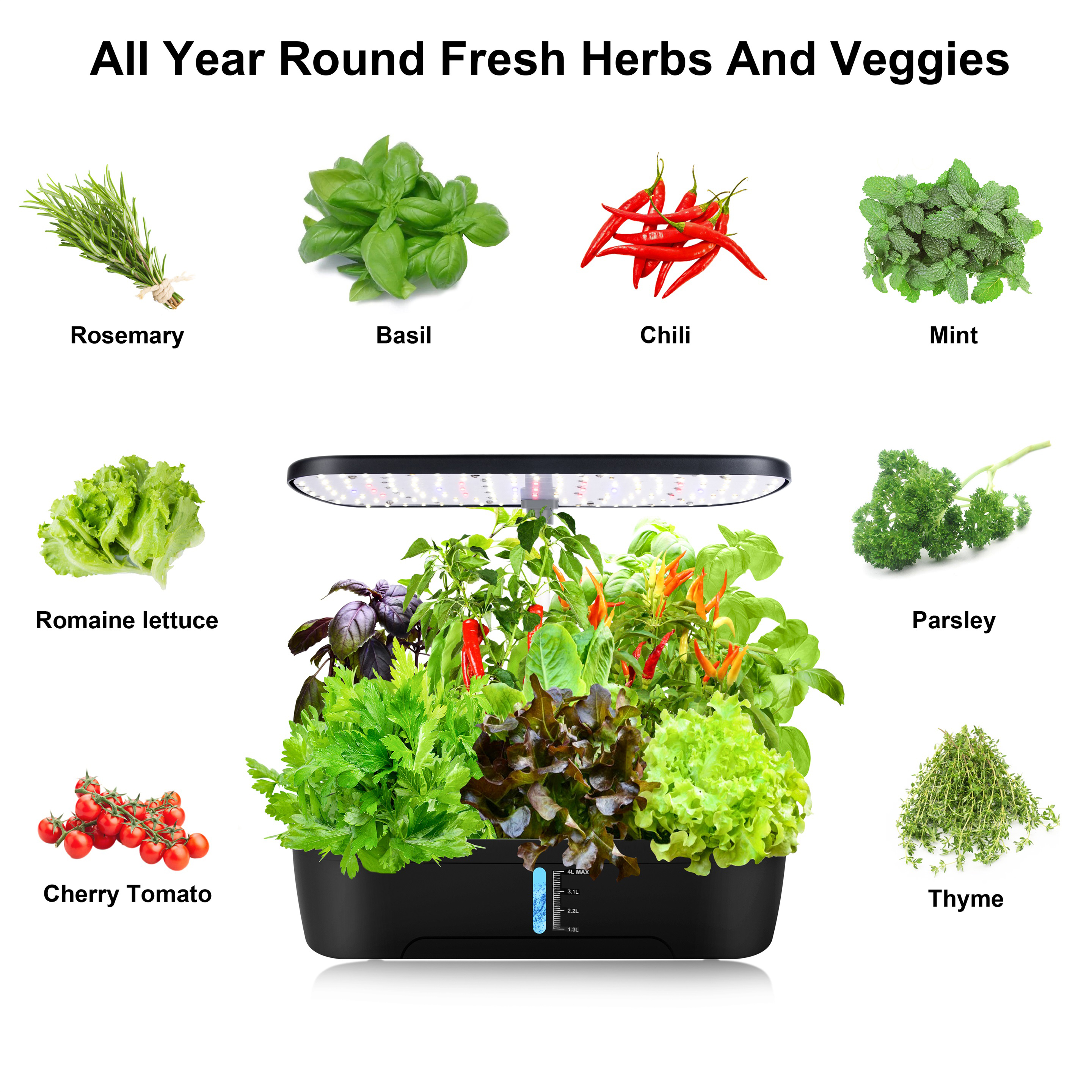 12 Pods Hydroponics Growing Sy - Indoor Herb Garden Kit のレビューと価格