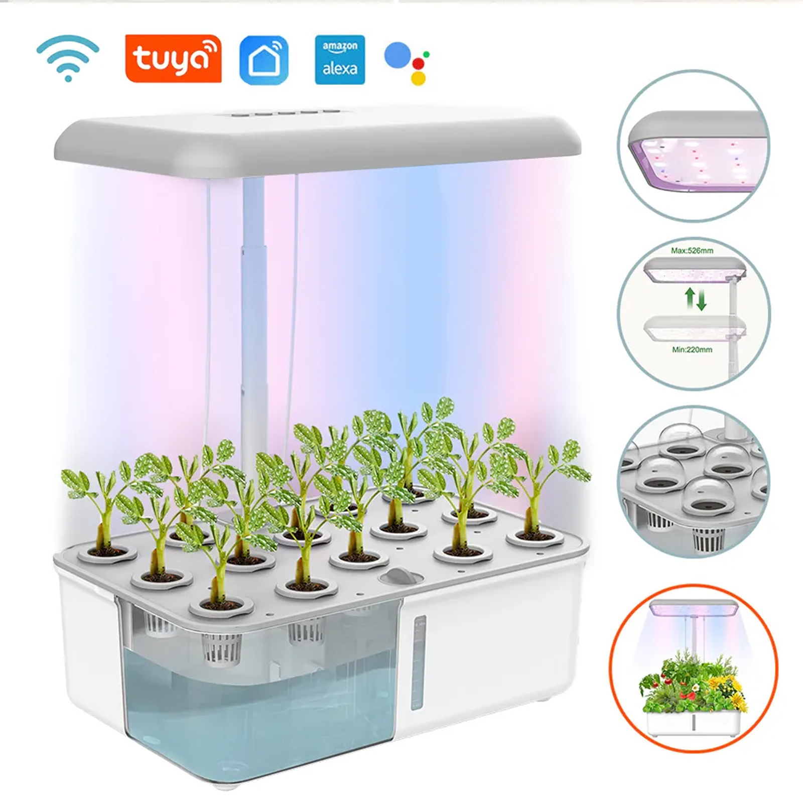 Tuya WiFi Plant Hydroponics Sy - Smart Garden Click And Grow のレビューと価格