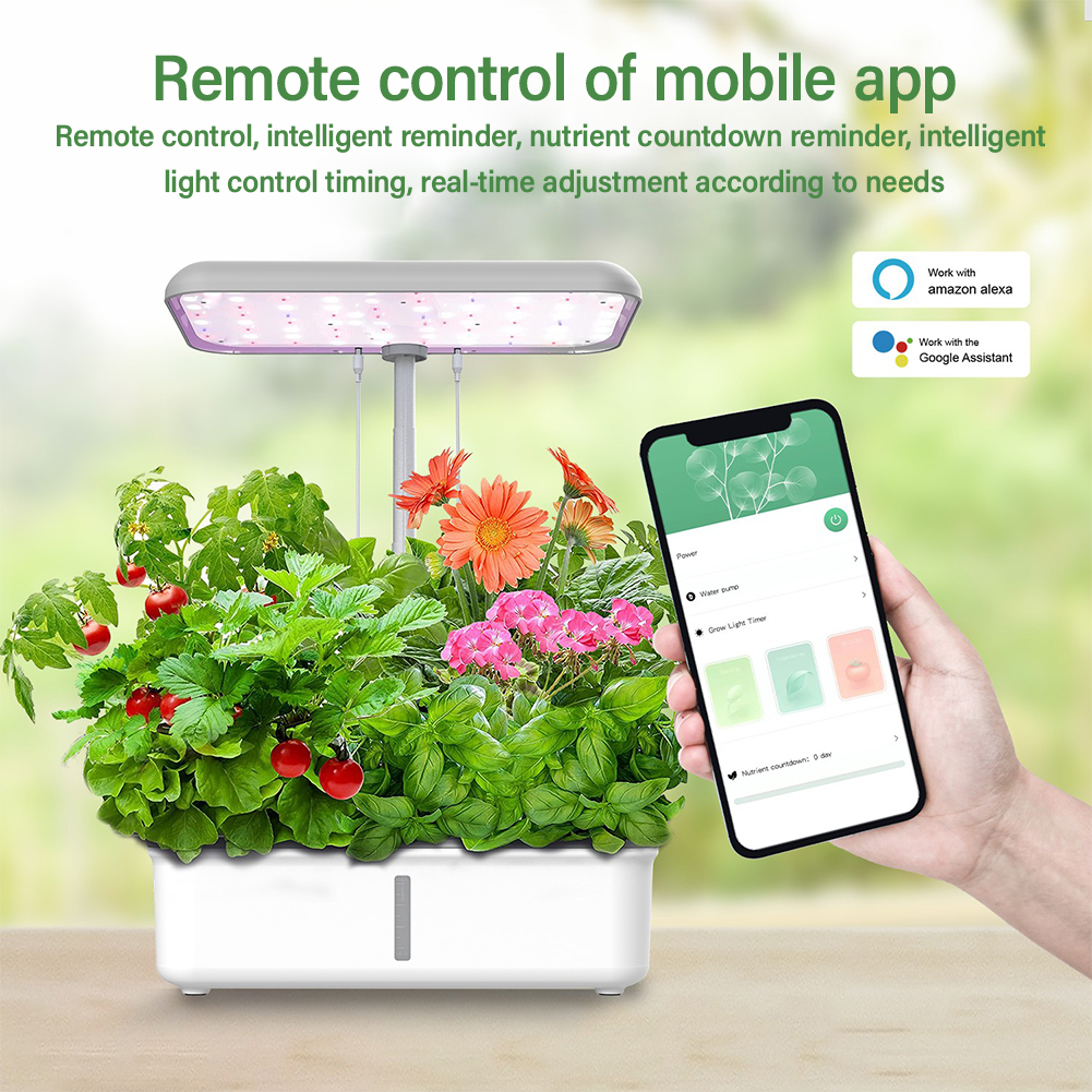 Tuya WiFi Plant Hydroponics Sy - Smart Garden Click And Grow のレビューと価格