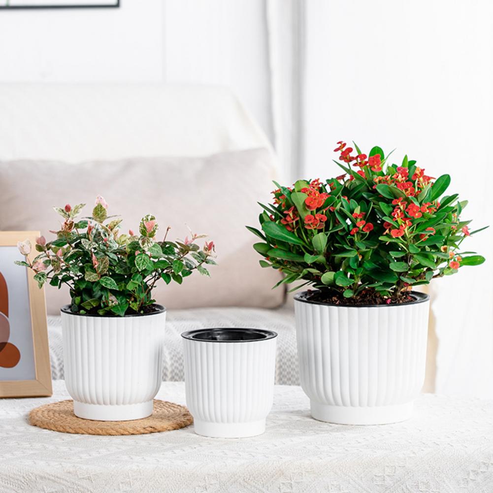 Indoor Self Watering Pot Venti - Indoor Herb Garden Kit のレビューと価格