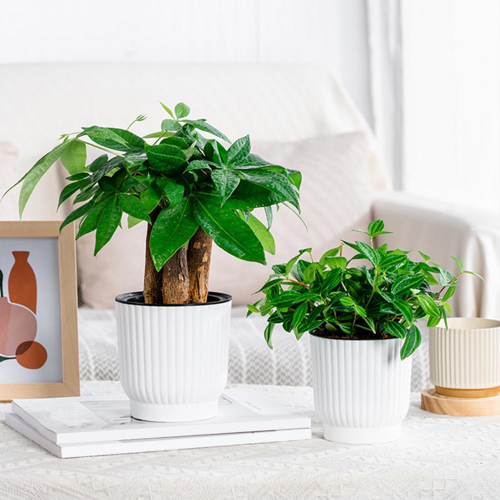 Indoor Self Watering Pot Venti - Indoor Herb Garden Kit のレビューと価格
