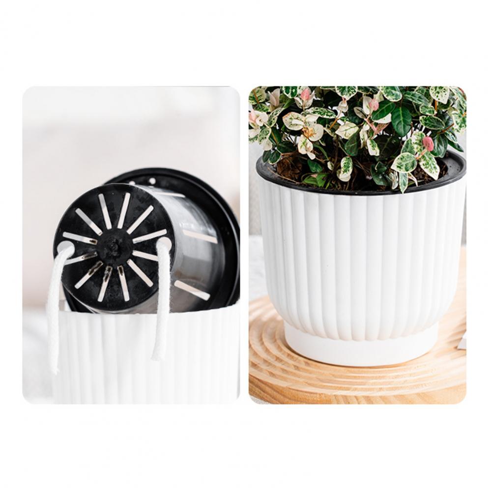 Indoor Self Watering Pot Venti - Indoor Herb Garden Kit のレビューと価格