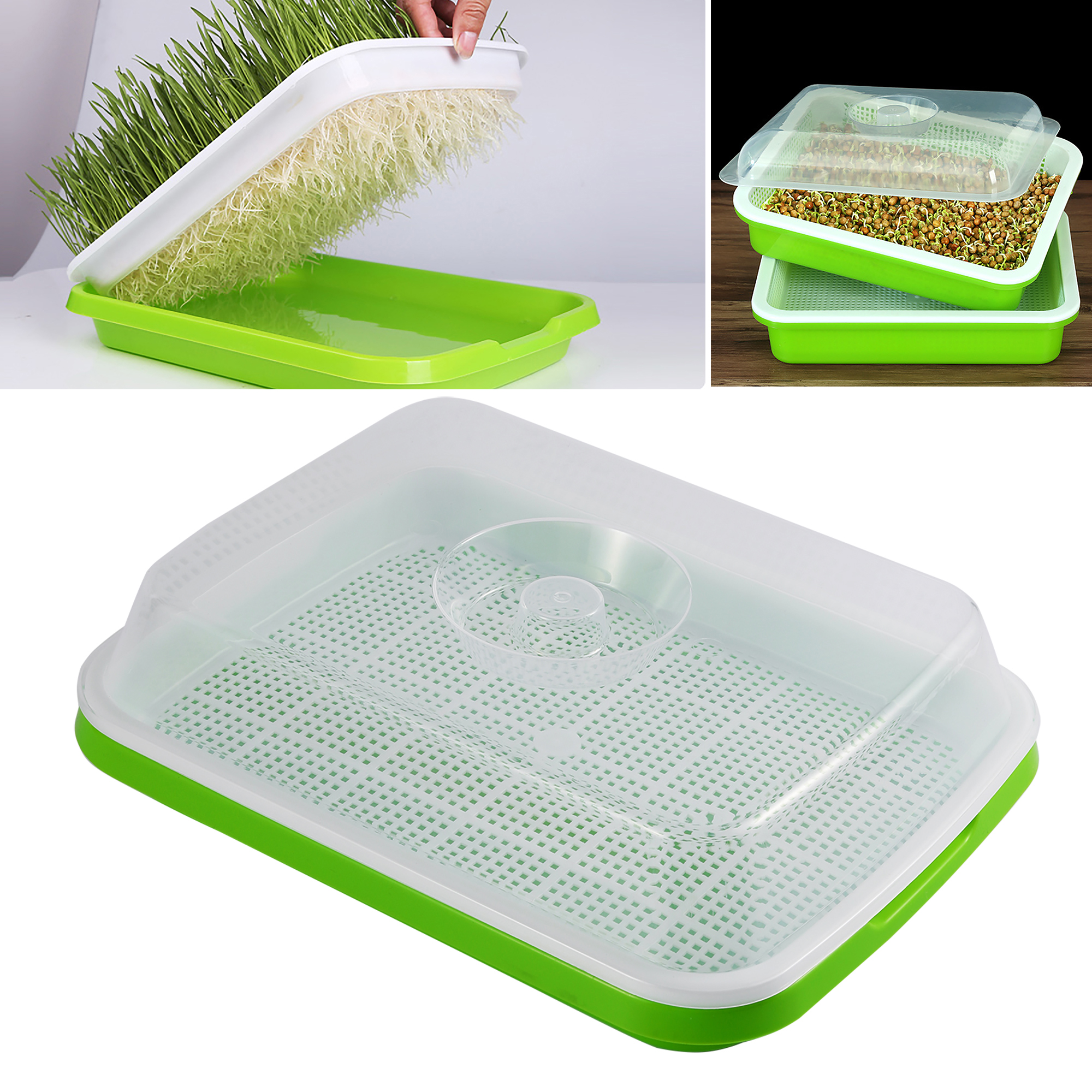 Sprouting Tray Box Pea Bean Wh - Indoor Herb Garden Kit のレビューと価格