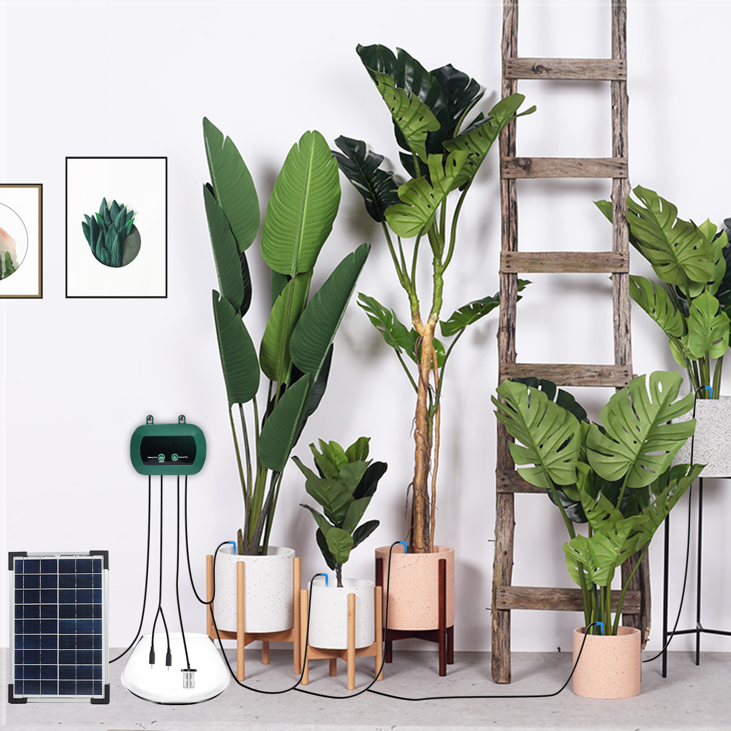 Solar Hydroponics Equipment  M - Smart Garden Is のレビューと価格