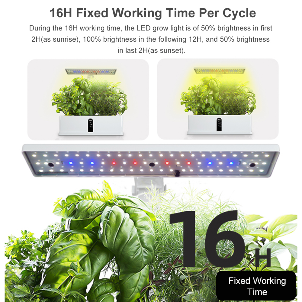 Smart Hydroponics Growing Syst - Smart Garden Click And Grow のレビューと価格