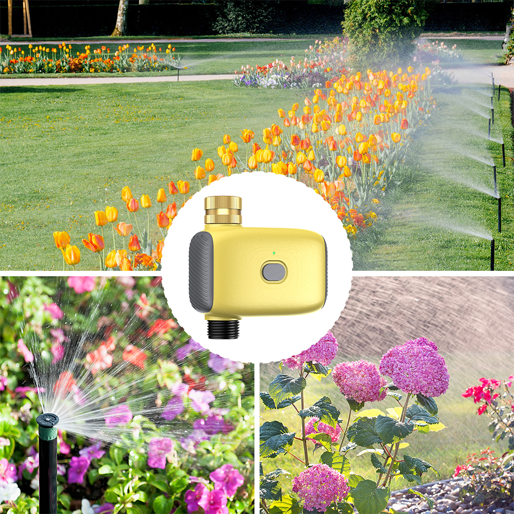 Wholesale Smart Digital  Water - Smart Garden Is のレビューと価格